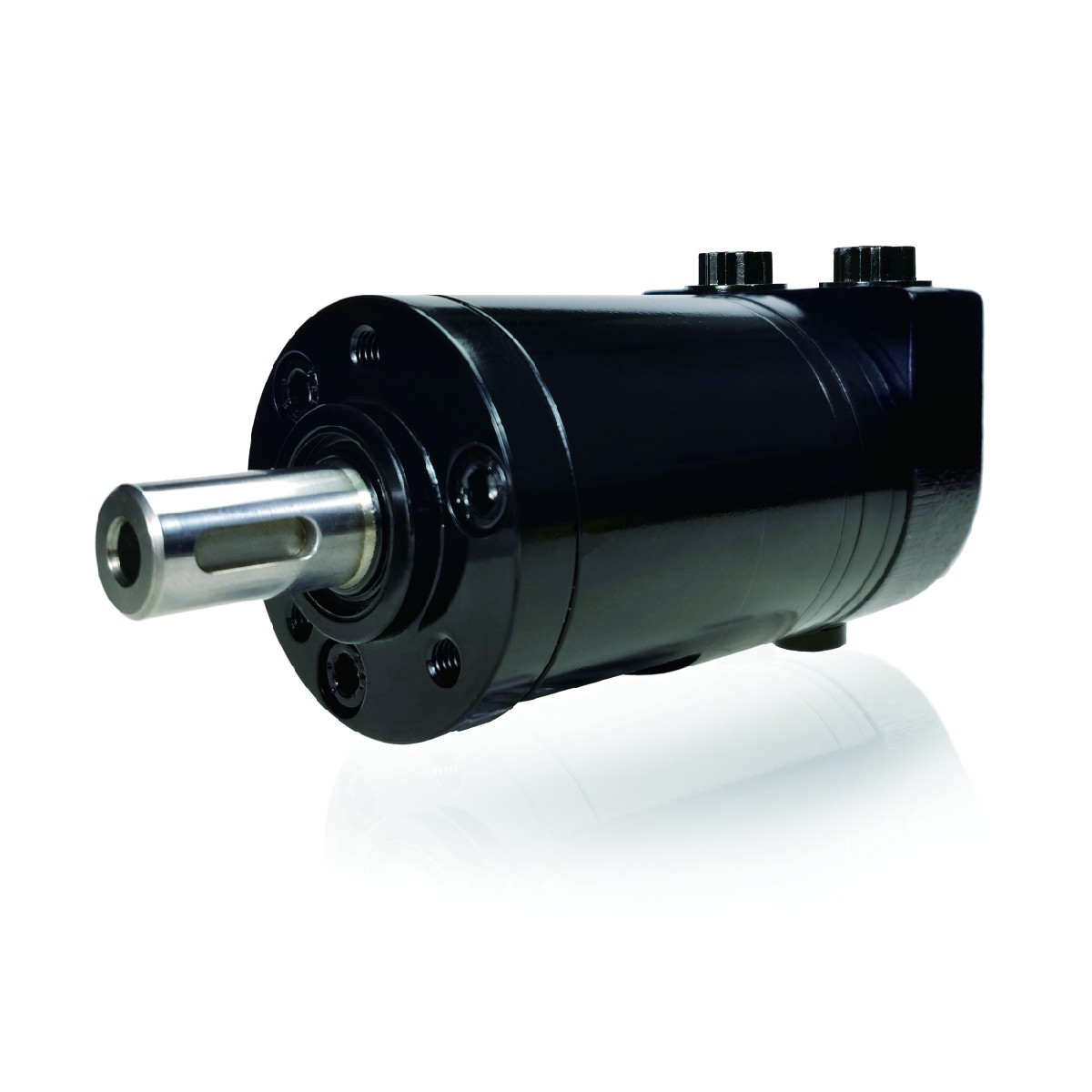 Orbital Motor WM